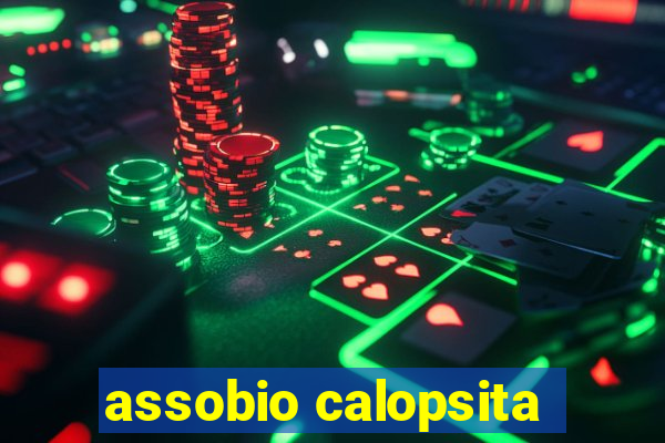 assobio calopsita